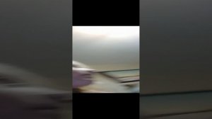 рисунки Ники