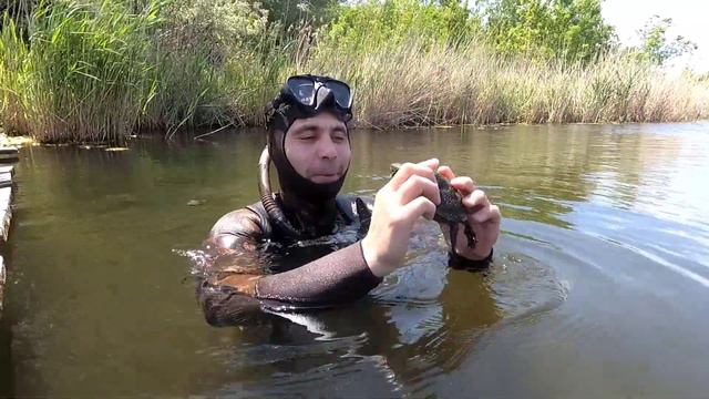 подводная охота в рейсе около ростова смотреть онлайн