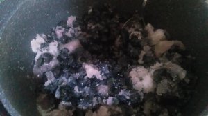 VID_20240903_150425.mp4