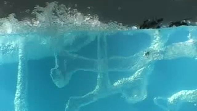 Гелевая муравьиная ферма смотреть онлайн