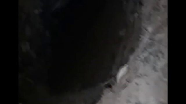 Бобр Нора бобра Здесь живут бобры смотреть онлайн