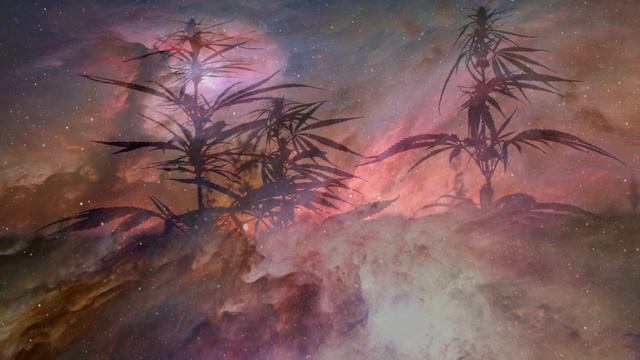 TERENCE MCKENNA - The World And Its DOUBLE (Remastered) смотреть онлайн
