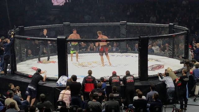 Academy MMA CUP 2017 (8.2) ALEXEI KUDIN🇧🇾 vs CHARLES "GRACIE" ANDRADE🇧🇷 смотреть онлайн