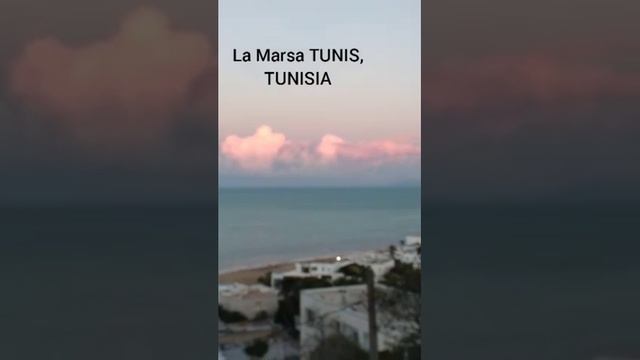 La Marsa TUNIS, TUNISIA|#shorts смотреть онлайн