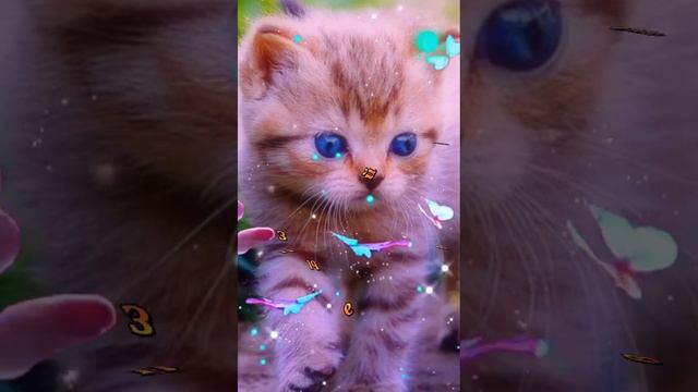 С добрым утром! #доброгоутра #доброеутро #сдобрымутром #пожеланиедоброгоутра #длятебя #пожелание смотреть онлайн