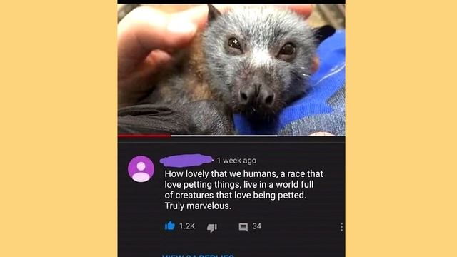 memes that check your humor смотреть онлайн