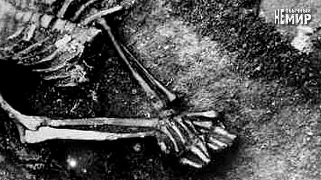 Захоронение вампиров в Польше. смотреть онлайн