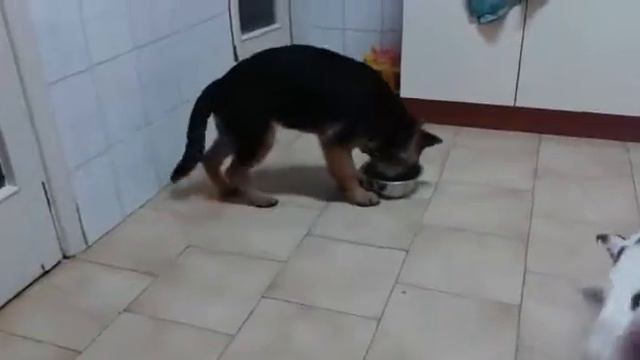 Моя вода смотреть онлайн