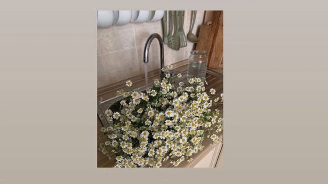 Эстетичные песни в стиле Goblincore?//Эстетичные песни//Эстетичная музыка//Эстетика/27минут релакса