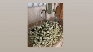 Эстетичные песни в стиле goblincore?//Эстетичные песни//Эстетичная музыка//Эстетика/27минут релакса