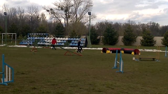 23.04.17 Ірина Коновальчук та бігль Cooper, джампінг А3 1 місце смотреть онлайн