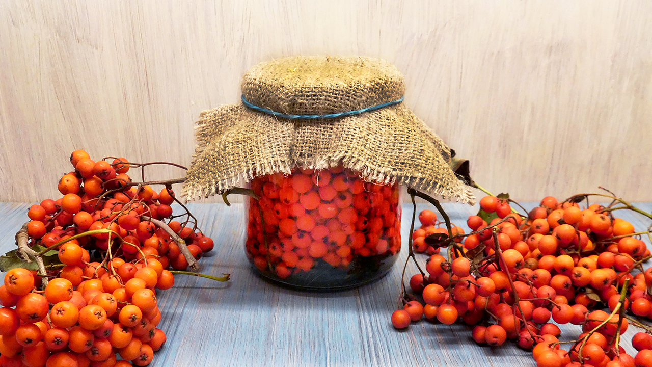 Моченая красная рябина смотреть онлайн