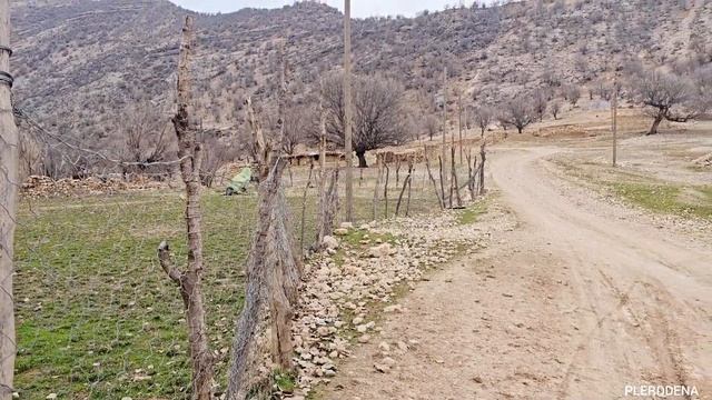 Resilience Of Nomadic Women: Secrets Of Nomadic Life: Their Manners And Customs: Nomads Of Iran