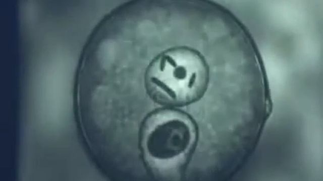 Двойное оплодотворение цветковых растений смотреть онлайн