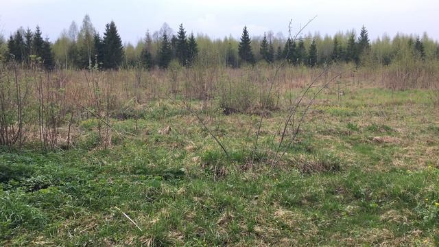 Назад в будущее или точилка-бабочка в презент от GearBest смотреть онлайн