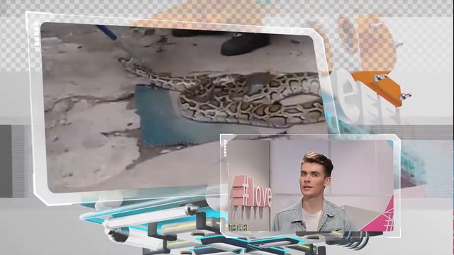 НСН. Эфир - 17 08 2018.