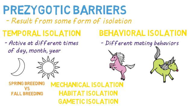 Speciation | Prezygotic vs Postzygoic Barriers | Forms of Reproductive Isolation смотреть онлайн