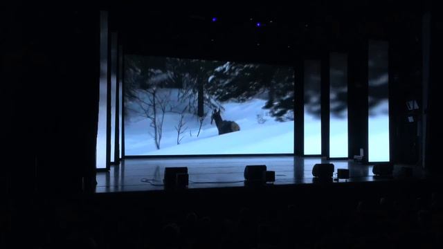 Вручение дипломов в Институте экологии и географии Сибирского федерального университета смотреть онлайн