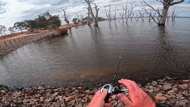 Best Budget BFS Rod? - Ryobi Ranmi Delicacy BFS Fishing Travel Rod Review #bfsfishing #bassfishing