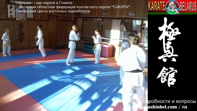 Прямая трансляция Гомельского Центра восточных единоборств Боевая тренировка смотреть онлайн