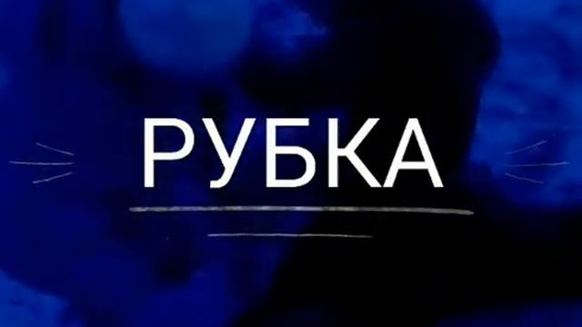 ×РУБКА× смотреть онлайн