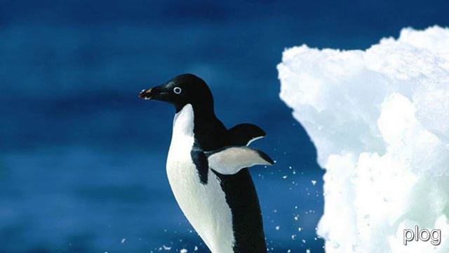 развивающие картинки для детей смотреть онлайн