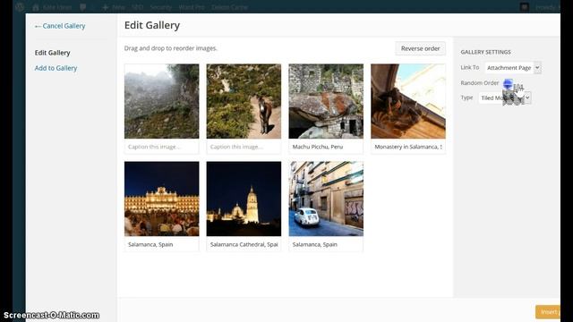 How to Set up a Photo Gallery on Your WordPress Site смотреть онлайн