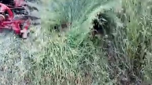 косилка на минитракторе Беларус 132Н