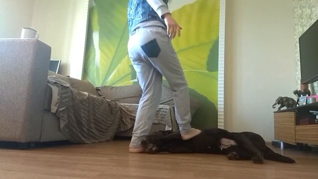 Трюки "Умри" и "кувырок" смотреть онлайн