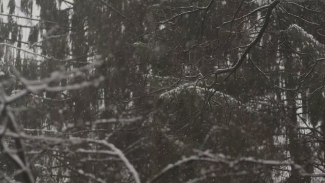 ? Читальный зал - Борис Пастернак смотреть онлайн
