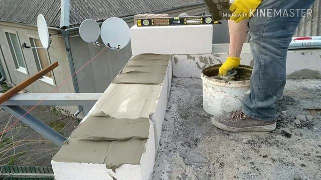 Дизайнерская революция