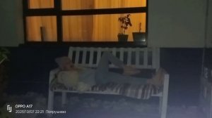 Клип Lalisa ,оператор: Щербинская Ульяна,Дмитриева Нина.Снимались :Дмитриева Софья,кошка Муся.