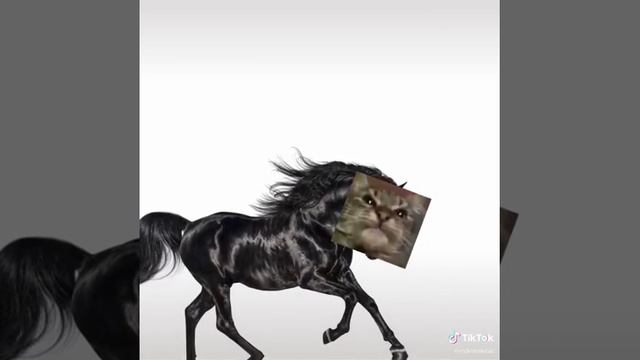 Lil Nas X- Кіт ти маму мав? смотреть онлайн
