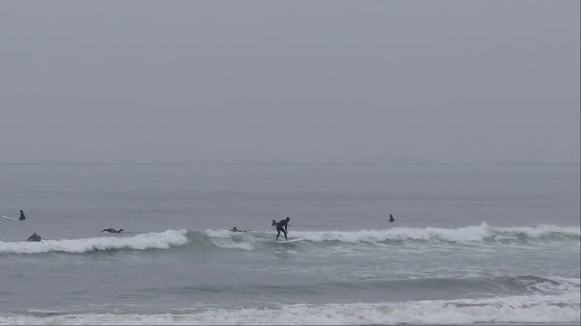 Surf Prescriptions Tur-Twin Pin Surfboard Review смотреть онлайн