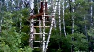 Охотничий лабаз