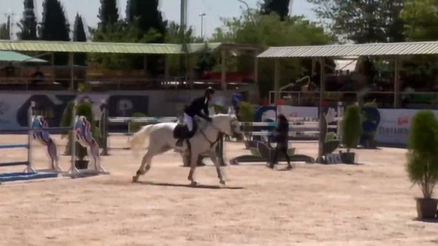 kisberi corvinus (Cornet obolensky X Cantus) in 140 class смотреть онлайн