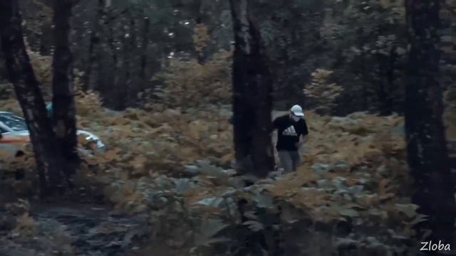 EDWARD BIL / ПРАНК С МЕДВЕДЕМ смотреть онлайн