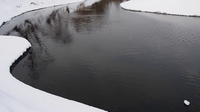 Джеркбейты Salmo: Fatso