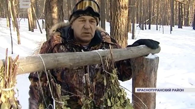 На юге края, зверей стало больше (Енисей Минусинск) смотреть онлайн