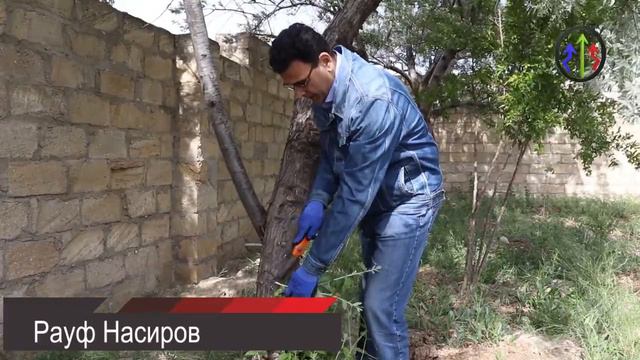 Пасынки и "кровососы" бюджетной лозы смотреть онлайн