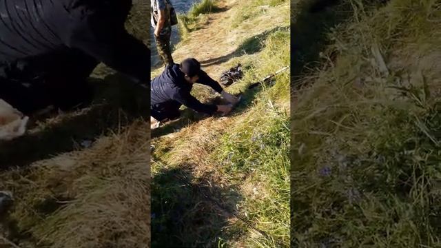 Baliq ovi garbusha рибалка гарбуша fishing смотреть онлайн