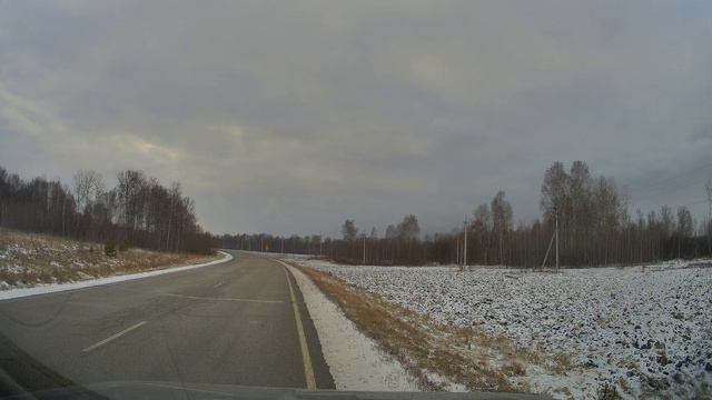 Русская пегая гончая