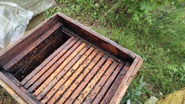 Пчеловодство.Проверка запасов корма в зиму после кормления сиропом.#закормкапчёл смотреть онлайн