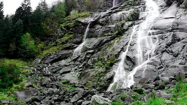 Sharsharaning Tabiiy Tinchlantiruvchi Tovushi -  Tabiat Ovozi Tasalli Beradi