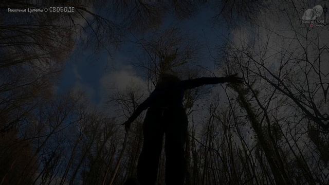 Цитаты о Свободе, Невероятно Мудрые Цитаты Великих людей, Свобода, Личность, Любовь, Жизнь смотреть онлайн