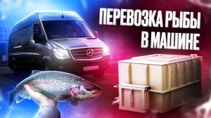 Емкость для перевозки живой рыбы. Контейнер для перевозки живой рыбы