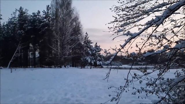 Вопросы о Литве. Как получили гражданство и знаем ли мы государственный язык смотреть онлайн