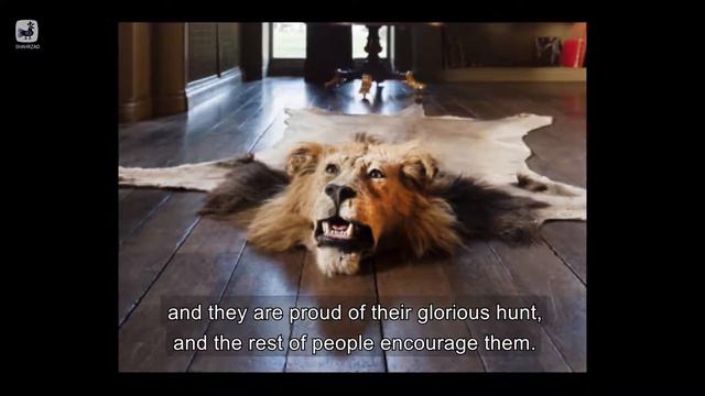 Lion is a noble animal смотреть онлайн