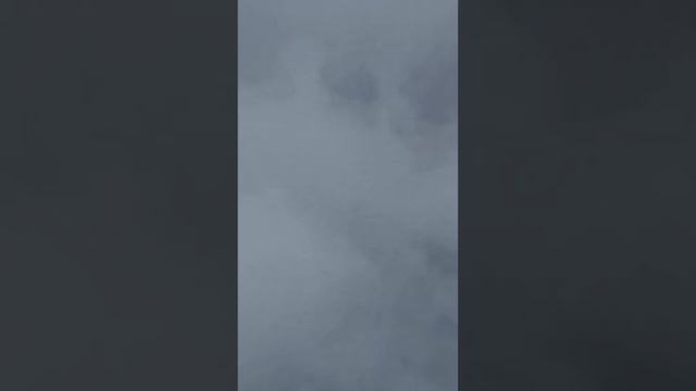 Перелёт Чебоксары - Санкт-Петербург смотреть онлайн