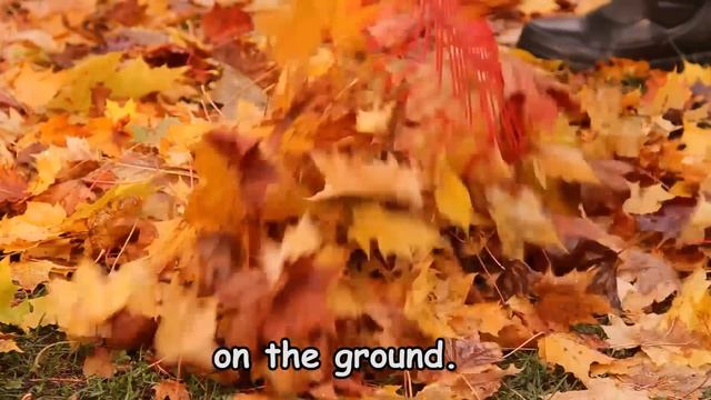 Autumn Songs For Children - Autumn Leaves Are Falling Down - Kids Songs By The Learning Station